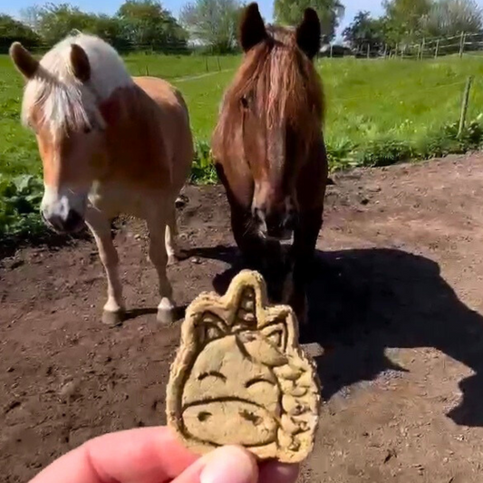 Ein neuer Pferdekeks bei Baltic Biscuits: Einhornzauber für dein Pferd