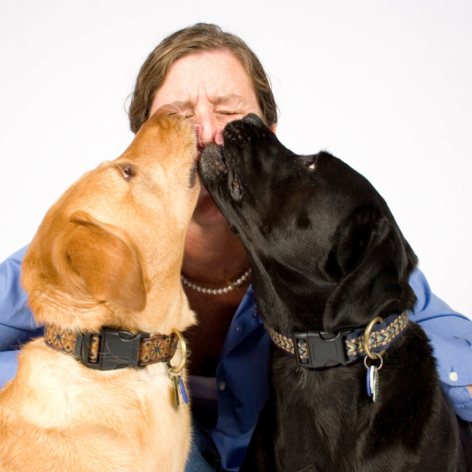 Wie viel Mensch braucht ein Hund?