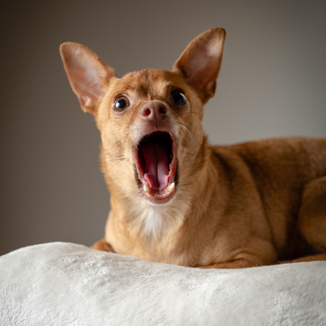 April Überraschungsbox 🎁