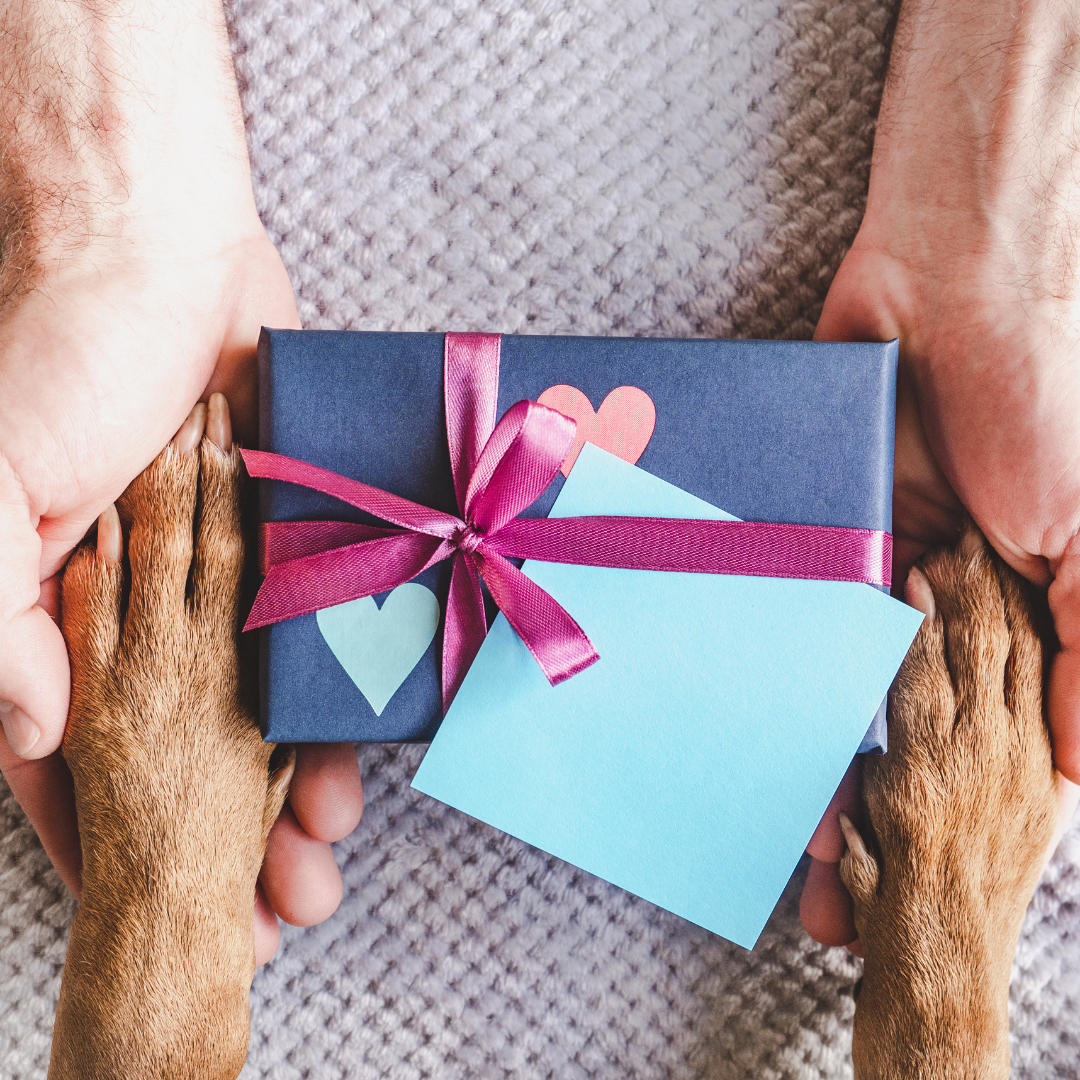 März Überraschungsbox 🎁