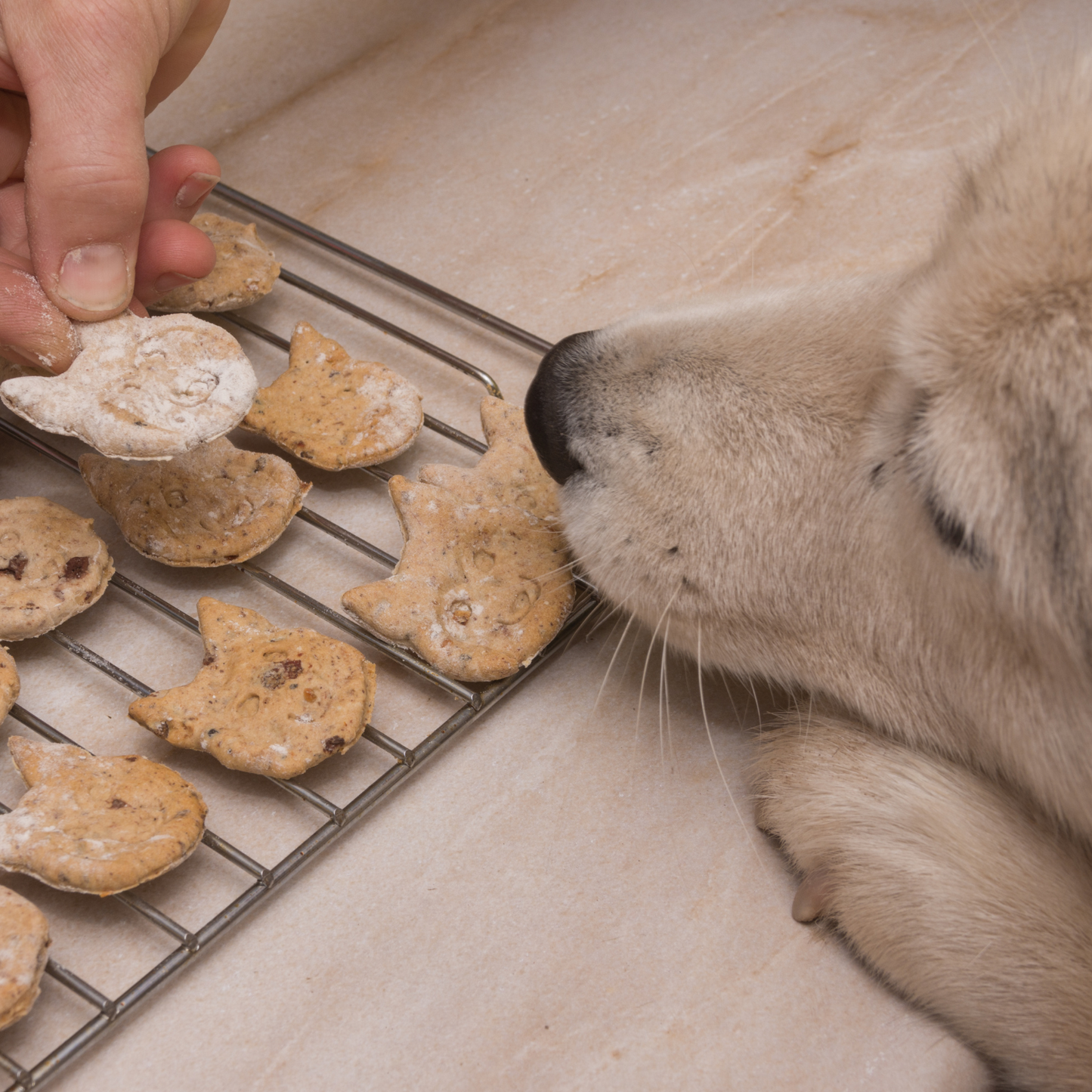 Geheimes Rezeptpaket 🍪
