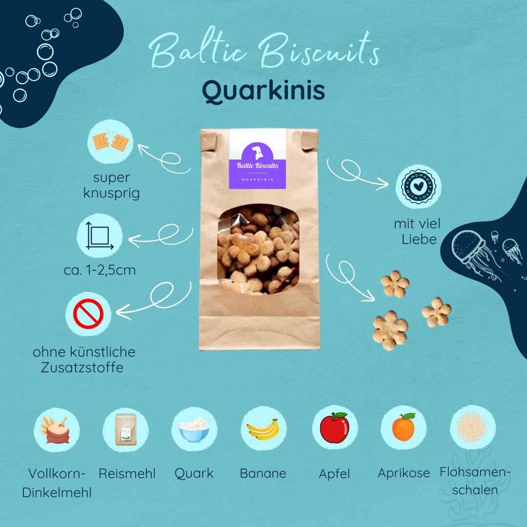 Quarkinis