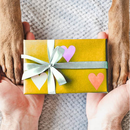 Juli Überraschungsbox 🎁